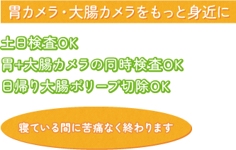 内視鏡センター併設 おなかのスペシャリストによる苦しくない胃カメラ・大腸カメラをご提供いたします